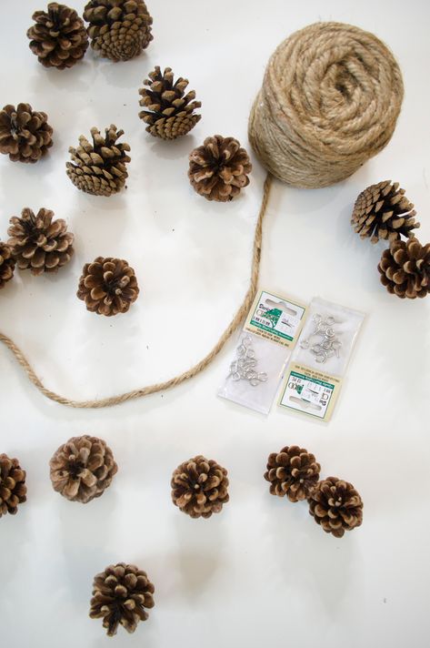 DIY Pinecone Garland Holiday Decor Diy, Pine Cone Wedding, Camping Theme Birthday, Count Down To Christmas, Pinecone Garland, Diy Christmas Garland, Diy Pinecone, Natural Christmas Decor, Pinecone Ornaments