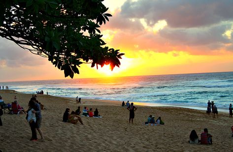 Sunset Beach Oahu, Oahu Restaurants, Waimea Falls, Best Beaches In Maui, Oahu Hikes, Oahu Beaches, Oahu Vacation, Waimea Bay, Turtle Bay Resort