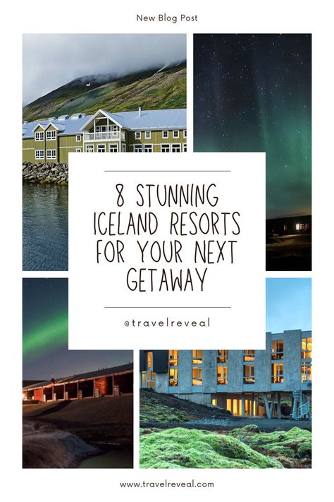 Looking for a travel destination unlike any other? ✨ Iceland boasts stunning landscapes, geothermal wonders, and the chance to witness the Northern Lights. These luxurious resorts offer the perfect basecamp for exploring the wonders of Iceland. #iceland #travel #luxury #adventure #northernlights Iceland Resorts, Travel Luxury, The Northern Lights, Bucket List Destinations, Iceland Travel, Luxury Resort, Iceland, Travel Destinations, Northern Lights