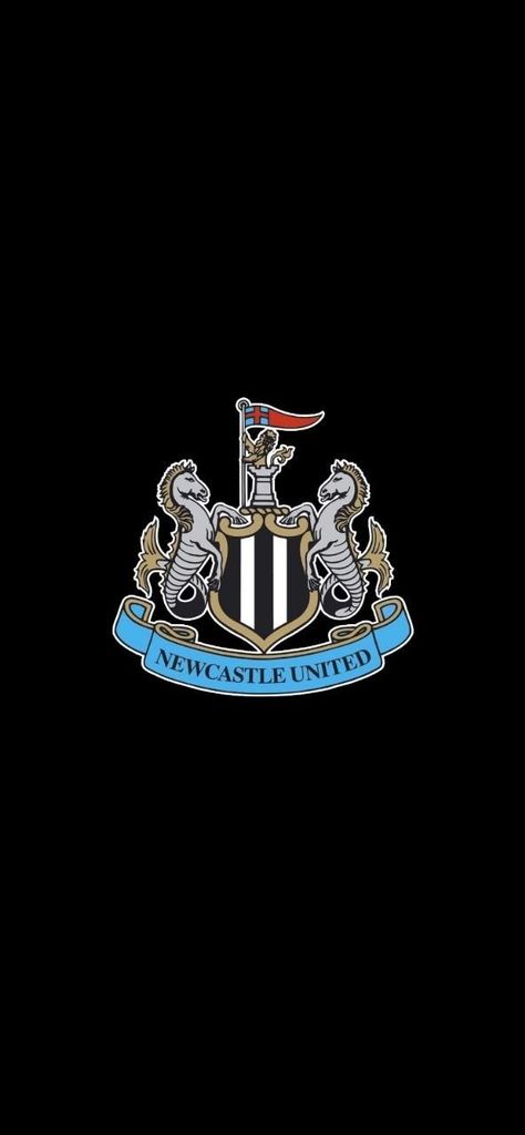 New Castle United Fc, Newcastle United Wallpapers, New Castle, Newcastle United, Newcastle, Premier League, Castle, The Unit, Wallpapers