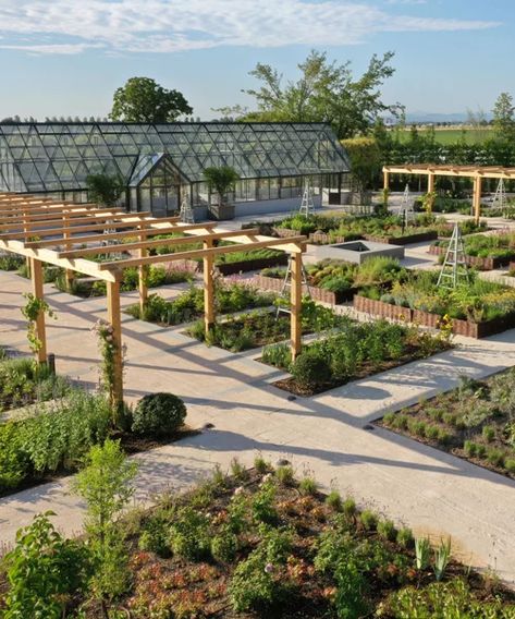 Urban Farming Architecture, Food Growing, Country Italy, Large Greenhouse, Italy Landscape, Paradise Garden, Aromatic Plant, Rural Landscape, Community Gardening