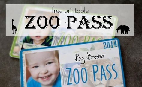 Big Brother is officially a three year old. Can I get a "WHAT?!" This year for his birthday we decided to surprise him with a trip to the zo... Zoo Tickets, Zoo Theme, Website Software, Coupon Template, Brother Birthday, Ticket Template, Gift Certificate Template, Templates Printable Free, Building Plans