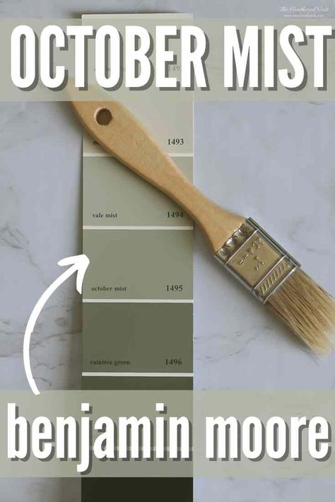 Benjamin Moore October Mist is a mid-toned warm sage green. Explore BM 1495, undertones, and color pairings + see pics in 16 homes! #paint #home #homedecor #paintcolor #paintstudy #paintreview #octobermist #benjaminmoore #sagegreen Sherwin Williams Aesthetic, Sherwin Williams Aesthetic White, Sherwin Williams Clary Sage, Benjamin Moore Nimbus, Williams Aesthetic, October Mist, Benjamin Moore Green, Neutral Gray Paint, Sage Green Paint Color