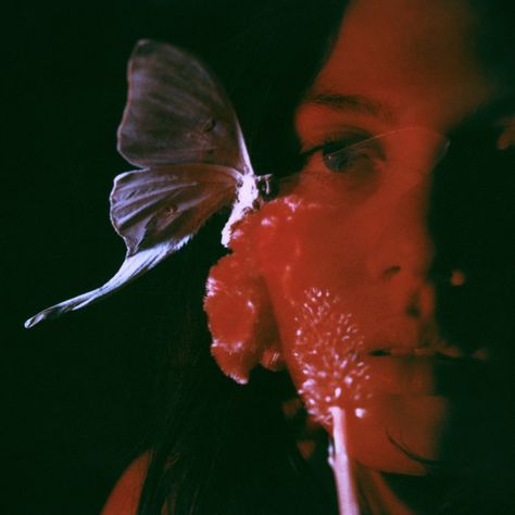 Neil Krug, Neon Demon, Born Again, Cinematic Photography, Red Aesthetic, A Butterfly, Photography Inspo, Camera Photography, Amalfi