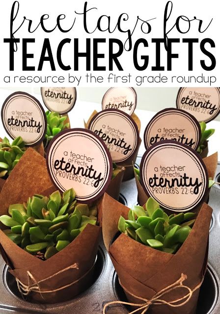 How to make this easy and adorable succulent plant gift for less than $3.00 each! This is perfect for teacher appreciation week or any other time of the school year. And grab the FREE labels! Plant As Gift Ideas, Plant For Teacher Gift, Things To Do For Teacher Appreciation, Teacher Gift Plant Free Printable, Teacher Appreciation Succulent Printable, Succulents Teacher Appreciation, Teacher Succulent Gift Tag, Plant Gifts For Teachers, Succulent Teacher Gift Printable Tags