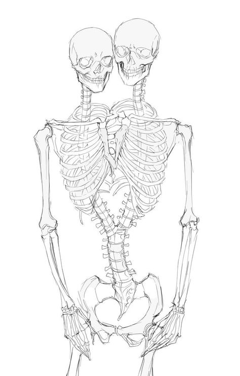 Skeleton Heart, Skeleton Drawings, Human Anatomy Art, Skeleton Art, 캐릭터 드로잉, Art Tattoos, Anatomy Art, 영감을 주는 캐릭터, Art Tutorials Drawing