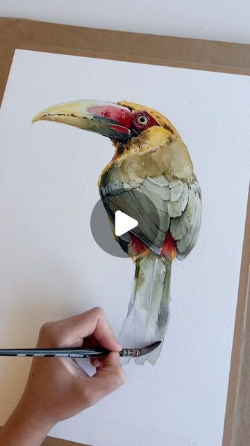 Polina Bright on Instagram: "Saffron toucanet ✨ #watercolorpainting #painting #watercolor #art #artist #aquarelle" Watercolor Painting Videos, Owl Artwork Illustrations, Watercolor Art Birds, Bird Painting Tutorial, Water Colour Painting Watercolour, Watercolor Birds Paintings, Watercolor Animal Paintings, Polina Bright, Bird Watercolor Art