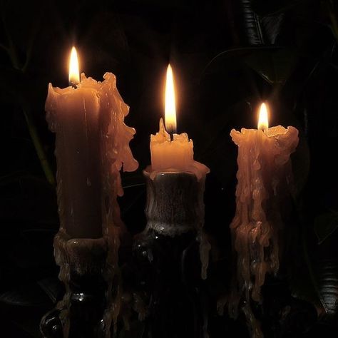 Dark Acadamia, Yennefer Of Vengerberg, Candle Aesthetic, Witch Aesthetic, Dark Academia Aesthetic, Academia Aesthetic, Fantasy Aesthetic, Ghost Rider, Brown Aesthetic