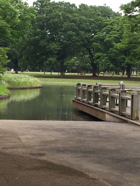 Yoyogi Park, Tokyo. Visit the post for more. Tokyo Visit, Japanese Places, Yoyogi Park, Late Bloomer, Happy Memories, Kyoto, Tokyo, Travel, Quick Saves