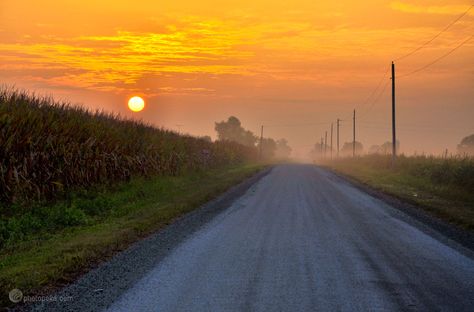 12 Signs You Are In Central Illinois Illinois Aesthetic, Clan Mackenzie, Midwestern Gothic, Midwest Gothic, American Midwest, Aesthetic Country, Country View, Peoria Illinois, Midnight Rider