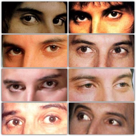 Freddie Mercury's eyes👀 Freddie Mercury Eyes, Freddy Mercury, Queen Freddie Mercury, Freddie Mercury, Favorite Things, Queen, Anime, Quick Saves