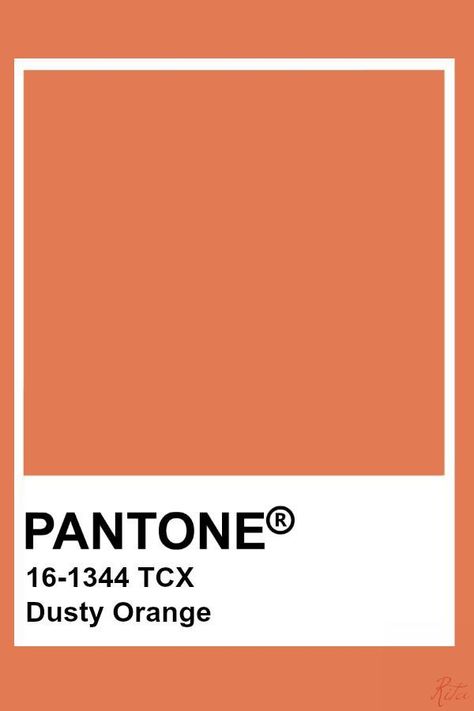 Dusty Orange Color Palette, Orange Color Pantone, Dusty Orange Aesthetic, Autumn Pantone, Orange Pantone, Pantone Orange, Sienna Orange, Pantone Tcx, Pantone Color Chart