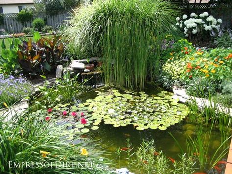 Beautiful backyard pond ideas for all budgets | Medium size inground garden pond with water lilies Inground Garden, Backyard Pond Ideas, Affordable Backyard Ideas, Patio Pond, Garden Ponds, Building A Pond, Backyard Pond, Garden Pond Design, Outdoor Ponds