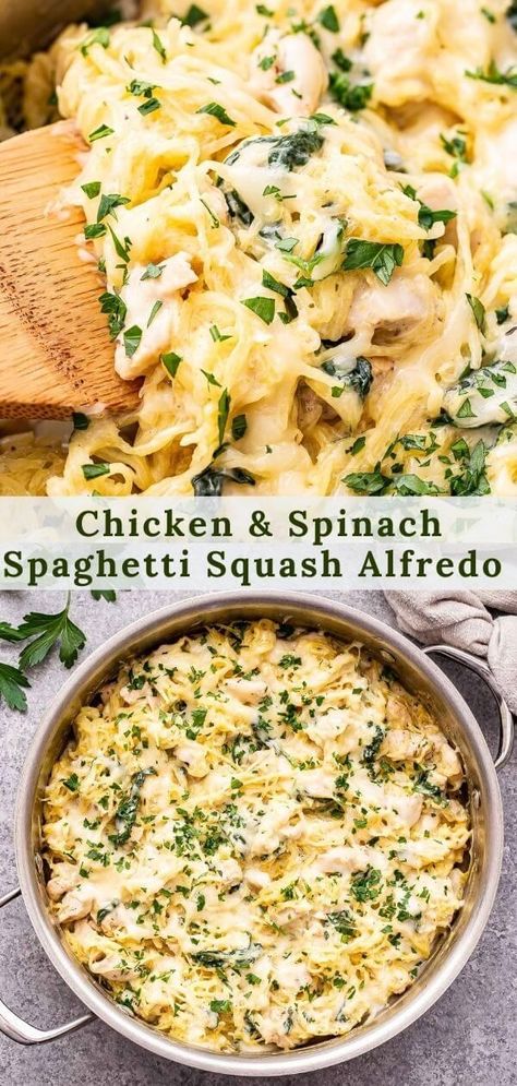 Spinach Spaghetti Squash, Spaghetti Squash Recipes Chicken, Spaghetti Squash Alfredo, Alfredo Spaghetti, Spinach Spaghetti, Squash Alfredo, Healthy Squash Recipes, Spaghetti Squash Recipes Healthy, Spaghetti Squash Recipes Easy