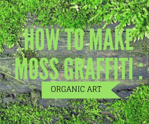 Have you ever thought about decorating the walls of your home with graffiti? I believe not! But what if I were about to tell you that there is a way to make natural graffiti that not only will highlight the beauty of your house but it will also give it an impressive added value? No, for … Moss Paint, Moss Graffiti, Preschool Painting, Types Of Moss, Growing Moss, Graffiti I, Moss Decor, Moss Wall Art, Garden Art Projects