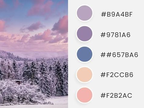 Best Winter Color Palettes | Placeit Winter Color Schemes, True Winter Color Palette, Cool Winter Color Palette, Idea Generation, Beauty Of Winter, Christmas Color Palette, Start Of Winter, Winter Color Palette, Spring Color Palette