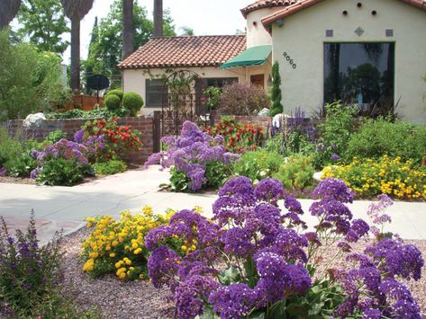 See examples and guidelines for drought tolerant landscaping. Drought Tolerant Landscape Front Yard, Drought Resistant Landscaping, California Plants, Drought Tolerant Garden, Drought Tolerant Landscape, California Garden, Front Yard Garden Design, Low Maintenance Landscaping, Front Yard Garden