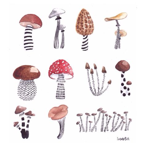 • mushrooms • Mushroom Drawing, Watercolour Inspiration, Mushroom Art, Watercolor Inspiration, Illustration Inspiration, Botanical Illustration, Art Paint, 그림 그리기, Watercolor Illustration