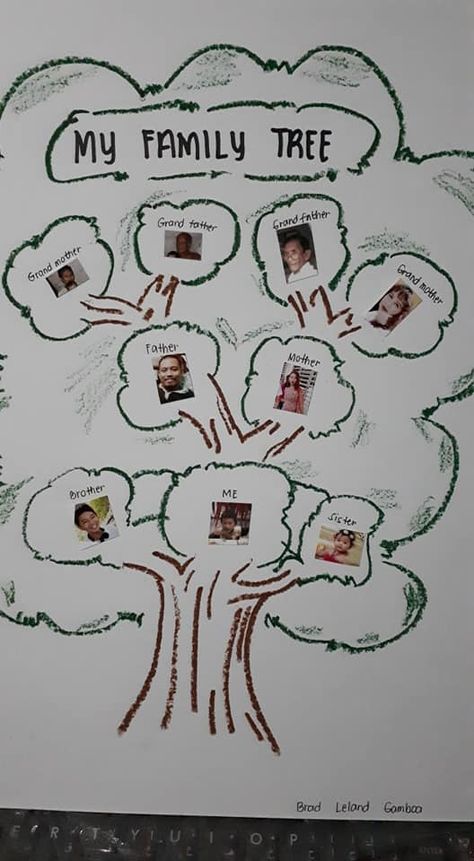 Family Tree Drawing Ideas, Family Tree Kindergarten, Tree Drawing Ideas, Family Tree Diagram, Family Tree Images, Family Tree Drawing, Thankful Activities, Family Activities Preschool, Family Tree Worksheet