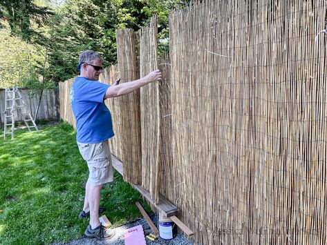 add. Upgrading Chain Link Fence, Bamboo Fence Over Chain Link, Add Privacy To Chain Link Fence, Making Chain Link Fence Private, Chain Link Fence Cover, Add Height To Chain Link Fence, Chain Link Fence Privacy, Yard Privacy, Bamboo Privacy