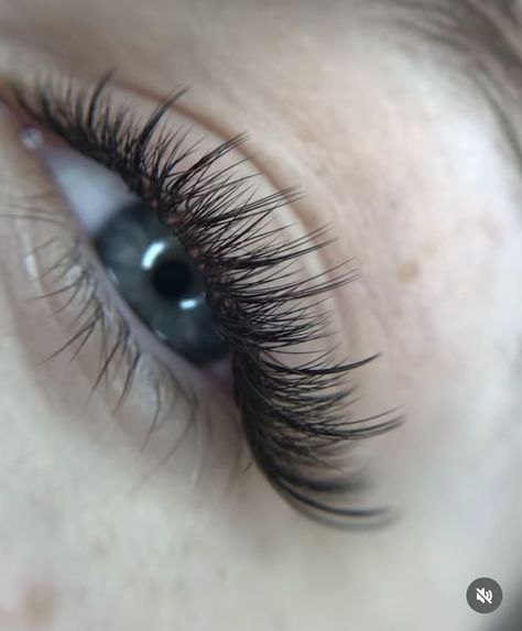 #3d_Lash_Extensions_Cat_Eye #2d_Lash_Extensions_Cat_Eye #Hybrid_Lash_Cat_Eye #2d_Lashes_Eyelash_Extensions 3d Lash Extensions Cat Eye, Hybrid Lash Cat Eye, 2d Lash Extensions Cat Eye, 2d Lashes Eyelash Extensions, Lashes Kim Effect, Lashes 2:1, Lash Extensions 2d, Gene 2d, Cat With Lashes