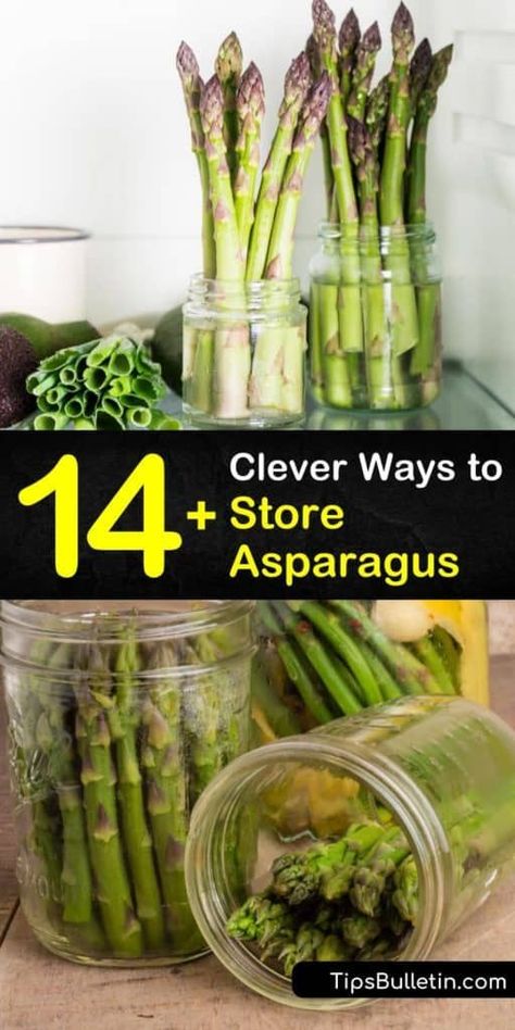 Learn how to store fresh asparagus in the crisper by wrapping the cut ends in paper towel, or refrigerate them by wrapping the bunch in a rubber band and placing the cut ends in an inch of water to prevent the veggies from getting mushy. #storing #fresh #asparagus #storage #storeasparagus How To Store Asparagus, Cook Asparagus, Asparagus Seasoning, Fresh Asparagus, Simply Recipes, How To Store, Asparagus Recipe, Fermented Foods, Kitchen Recipes