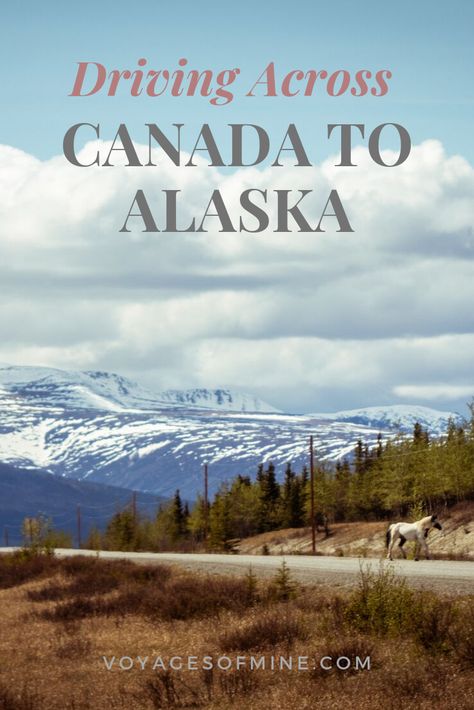 Alaska Roadtrip, Alaska Road Trip, Travel Restaurant, Packing Travel, Travel Flight, Flight Travel, Amazing Scenery, Canada Travel Guide, Canada Road Trip