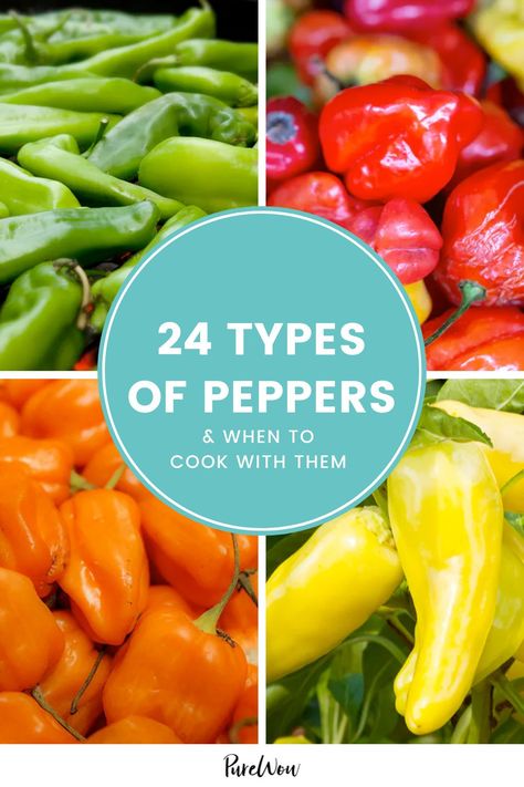 Types Of Peppers Different, Different Kinds Of Peppers, Garden Salsa Peppers, Long Green Peppers, Pepper Recipes Healthy, Scoville Scale, Types Of Chili Peppers, Pepper Varieties, Cooking Peppers