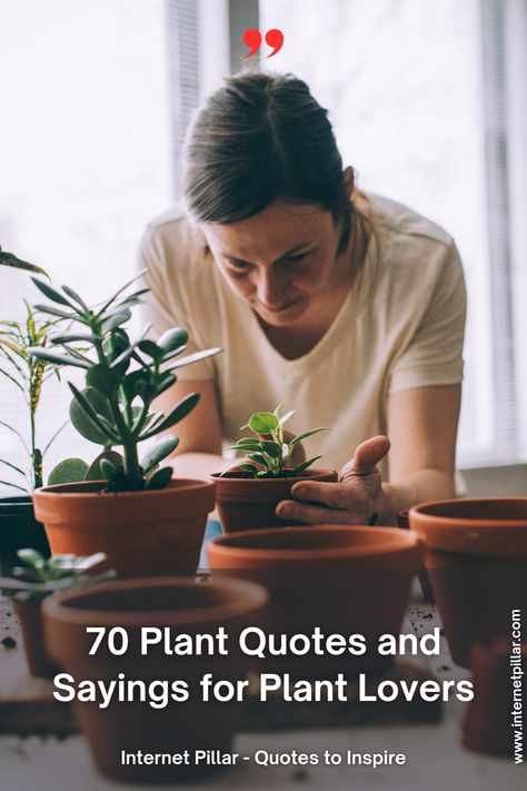 70 Plant Quotes and Sayings for Plant Lovers - quotes | inspirational quotes | motivational quotes | inspiring quotes | quotes of the day | quotes about life | life quotes | love quotes - #quotes #love #motivation #inspiration #life #quote #quoteoftheday #success #motivationalquotes #inspirationalquotes #quotestoliveby #photooftheday #happy #travel #lifestyle #positivevibes #lifequotes #instagram #poetry #follow #nature #inspiringquotes #selfimprovement Planting Quotes Life Inspiration, Plant Growing Quotes Life, Quotes About Plants Inspiration, Plant Quotes Life Inspiration Short, Plants Lover Quotes, Plant Lovers Quotes, Quotes About Plants And Growth, Plant Quotes Funny Humor, Quotes About Seeds