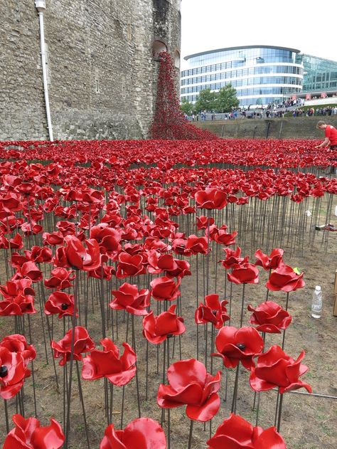 Milk Jugs Garden, Remembrance Day Art, Ceramic Poppies, Colonial Life, Art Coquillage, The Tower Of London, Gothic Garden, One Flower, Flower Installation