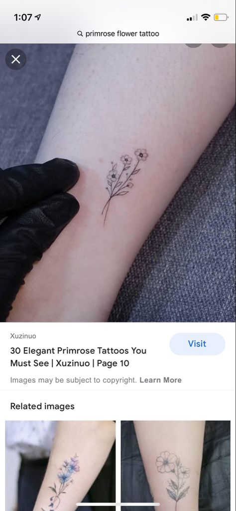 Primrose Fine Line Tattoo, Primrose Tattoo Design, Primrose Tattoo, Dainty Tattoos, 2023 Vision, Small Tattoo Designs, Half Sleeve Tattoo, Fine Line Tattoos, Small Tattoo