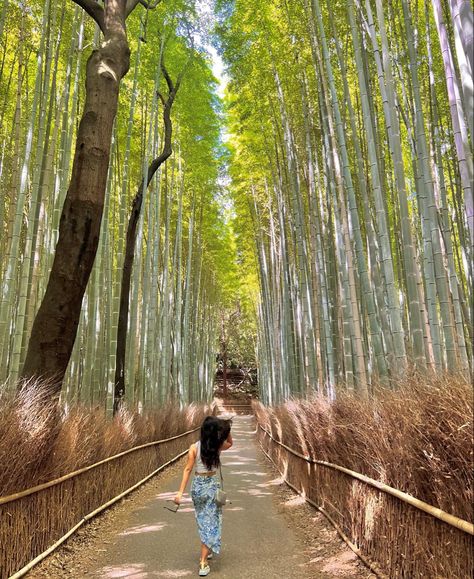 Photo taken in the bamboo garden jn Kyoto Japan Japan Holiday Aesthetic, Tokyo Honeymoon Aesthetic, Japan Aesthetic Picture Ideas, Tourist Poses Travel, Kyoto Japan Instagram, Japan Pictures Ideas, Japan Photo Dump, Japan Photo Inspiration, Japan Aesthetic Pictures