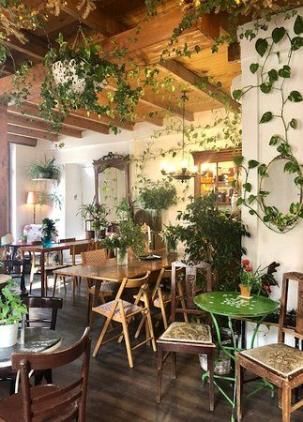 Cottagecore Cafe, Forest Cafe, Cosy Cafe, Rustic Cafe, Bookstore Cafe, Coffee Shop Interior Design, Quotes Celebrities, Cozy Coffee Shop, Cafe Shop Design