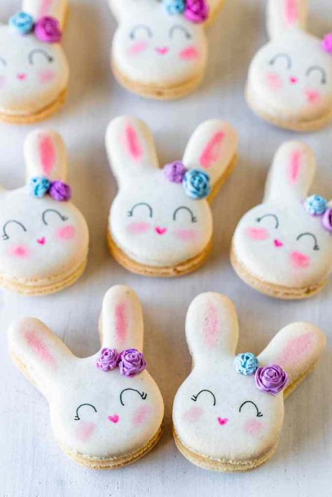 Bunny Macarons plus a free bunny template #macarons #swiss #bunny #easter #frenchmacarons #swissmacarons #cookies Cute Macaron Designs, Easter Macarons Ideas, Rabbit Macarons, Easter Sweets Ideas, Goth Desserts, Groot Cookies, Free Bunny Template, Easter Macaroons, Bunny Macarons