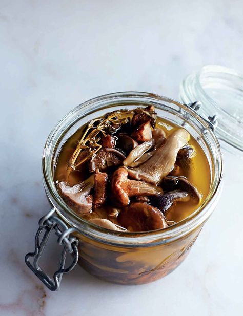 Yes, you really can pickle almost anything. Including these seemingly-exotic wild mushrooms. Pickled Mushrooms Recipe, Pickled Mushrooms, Oyster Mushroom Recipe, Wild Mushroom Recipes, Lobster Mushroom, Pickle Recipes Homemade, Marinated Mushrooms, Fermentation Recipes, Stuffed Portabella Mushrooms