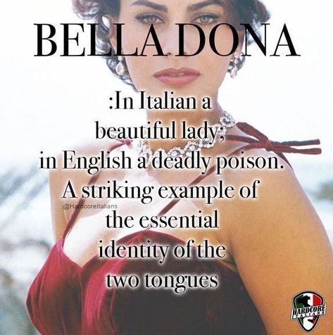 Italian American Aesthetic, Italian Mafia Women, Sicilian Lifestyle, Mob Quotes, Belladonna Flower, Italian Girl Problems, Italian Problems, Italian Memes, Everyday Italian