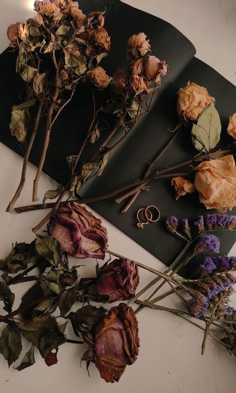 Jaycore Aesthetic, Wilted Flowers, Book Flowers, Magic Aesthetic, Nothing But Flowers, Phone Wallpaper Patterns, Flower Therapy, Instagram Frame, In A Hurry