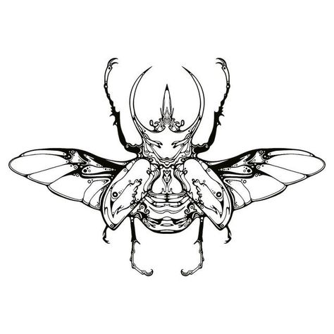 Bug Tattoo Design, Beetle Tattoo Design, Bugs Tattoo, Scarab Beetle Tattoo, Insect Drawings, Insect Tattoos, Insects Tattoo, Bug Drawing, Insect Drawing