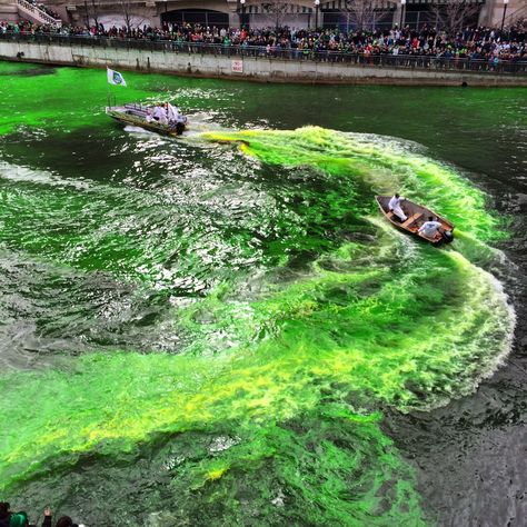 Green river dyeing. #Chicago Chicago River, My Kind Of Town, Green River, The Windy City, Windy City, St Pattys, St Pattys Day, Golf Courses, Turning