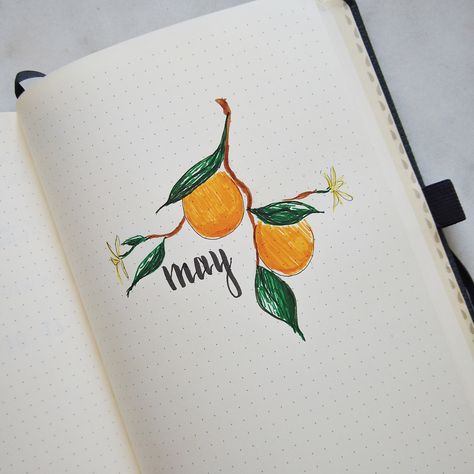 Bujo Orange Theme, Orange Bullet Journal Theme, Bullet Journal Fruit Theme, May Spread, Bullet Journal Flip Through, Citrus Theme, Bullet Journal Contents, May Bullet Journal, Bullet Journal Month