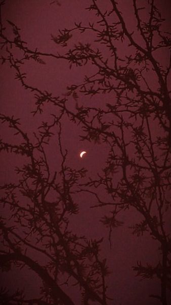 Will Power, Red Plum, Burgundy Dress, Looks Style, Burgundy Color, Photography Ideas, Dark Red, The Moon, Moon