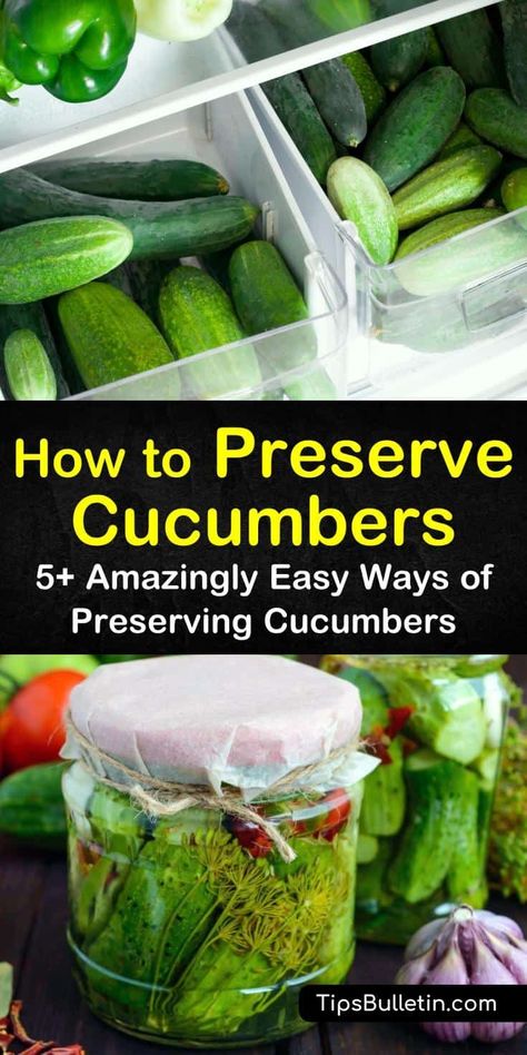 Learn how to preserve cucumbers with or without pickling. Try a delicious pickles recipe, or a yummy way to prepare cucumber chips when dehydrating them. Follow these simple guides for canning, pickling, freezing, and even drying your cucumbers. #preserve #cucumbers #storecucumbers How To Preserve Cucumbers, Canning Cucumber Recipes, Freezing Cucumbers, Preserve Cucumbers, Cucumber Ideas, Cucumbers Recipes, Preserving Cucumbers, Garden Preservation, Dill Salt