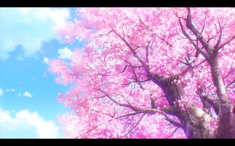 Blossom Aesthetic, Anime Cherry Blossom, Fantasy Backgrounds, Anime Flower, Cherry Blossom Wallpaper, Fantasy Background, Cherry Blossom Background, Sakura Tree, Japan Aesthetic