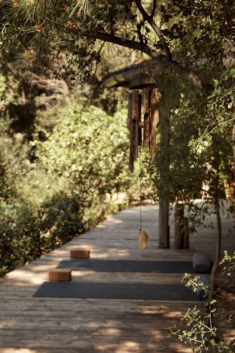 Yoga deck in the forest, facing the sea. Yoga Deck, Kefalonia Greece, Daily Rituals, Outdoor Yoga, Morning Yoga, Yoga Session, Yoga Retreat, Yoga Studio, Let Go