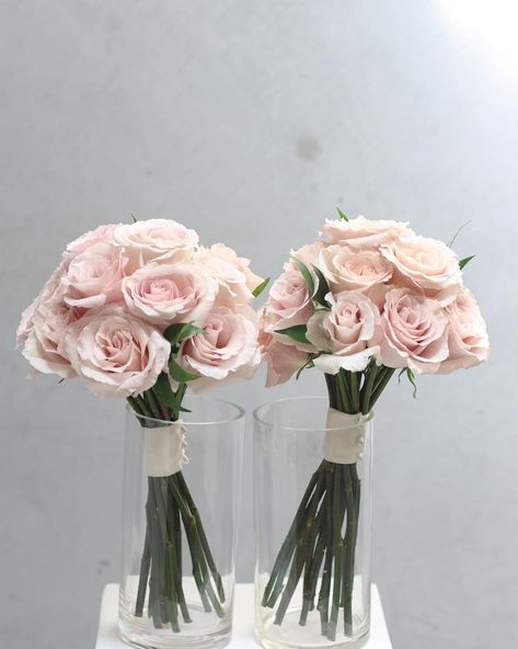 Pretty in blush. Ecuador Quicksand Roses doing their thing. Not hard to see why these beautiful roses are so popular with our brides…and grooms! #weddingbouquet #melbourneweddingflorist #weddingbouquetmelbourne Small Pink Bouquet, Bridesmaid Bouquet Pink, Pink Bridesmaid Bouquet, Blush Pink Bridal Bouquet, Blush Rose Bouquet, Small Bridesmaid Bouquets, Bridal Bouquet Pink, Pink Rose Bouquet, Bridesmaid Bouquets