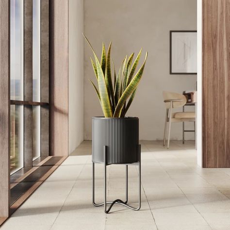 Way Day: Indoor Planters You'll Love In 2023 | Wayfair Mid Century Modern Planter, Black Mid Century Modern, Art Deco House, Room Products, Outdoor Garden Planters, Church Office, Black Planters, Zen Space, Skin Design