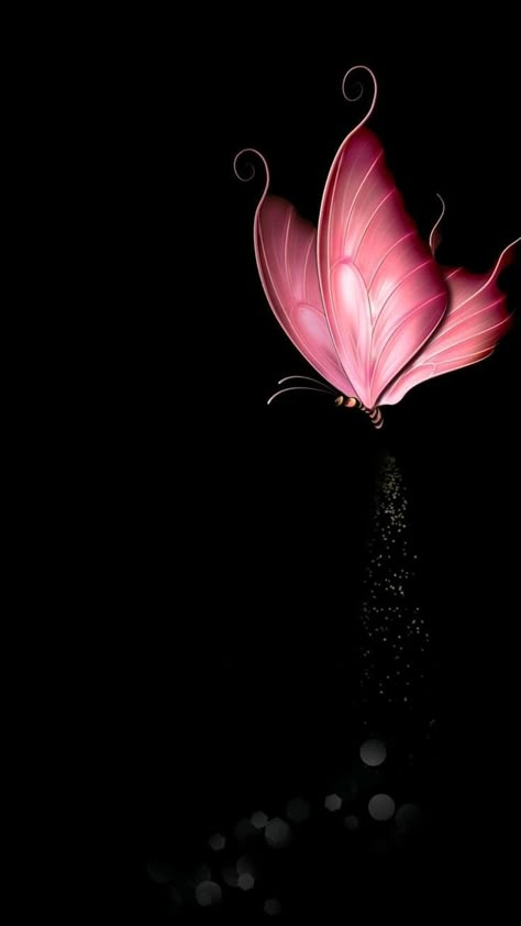 Dark Pink Wallpaper, Wings Artwork, Wallpaper Butterfly, Iphone Wallpaper Cat, Romantic Wallpaper, Dont Touch My Phone Wallpaper, Best Winter Outfits, Floral Wallpaper Phone, Android Wallpaper Flowers