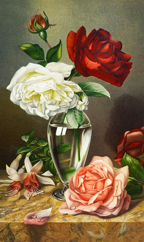 Rose In A Glass, Vintage Floral Backgrounds, Paint Your Pet, Flower Birthday Cards, Romantic Paintings, Red And White Roses, Antique Illustration, National Gallery Of Art, Floral Garland