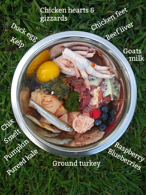 Cheap Raw Food Diet For Dogs, Dog Barf Diet, Half Kibble Half Raw Diet For Dogs, Puppy Raw Food Recipes, Raw Food Diet For Small Dogs, Raw Meat For Dogs, Raw Meat Diet For Dogs, Raw Fed Dogs Diet, Raw Food Recipes For Dogs