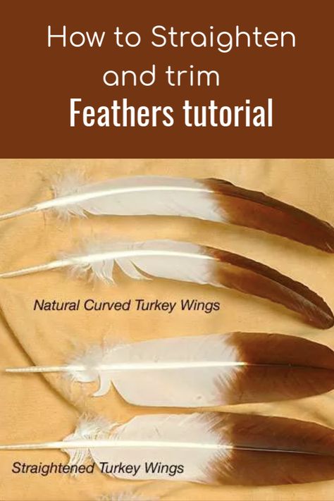 American Indian Crafts, Smudging Feathers, Feather Crafts Diy, Native American Feathers, Native Beading, Feather Diy, Feather Quill, Bone Crafts, Eagle Feathers